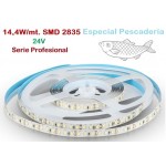 Tira LED Flexible 24V 14W/mt 120 Led/mt SMD 2835 IP20 Especial Pescadería, Serie Profesional, venta por metros Tira LED Flexible 24V 14W/mt 120 Led/mt SMD 2835 IP20 Especial Pescadería, Serie Profesional, venta por metros